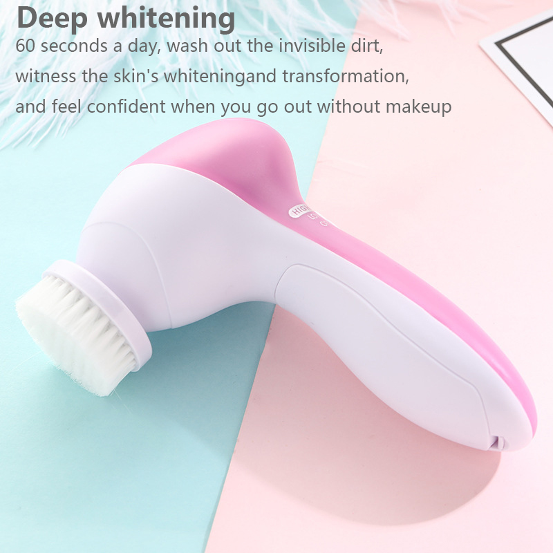 Spazzola detergente viso 5 in  - Dry Brush Body recensione e prezzo